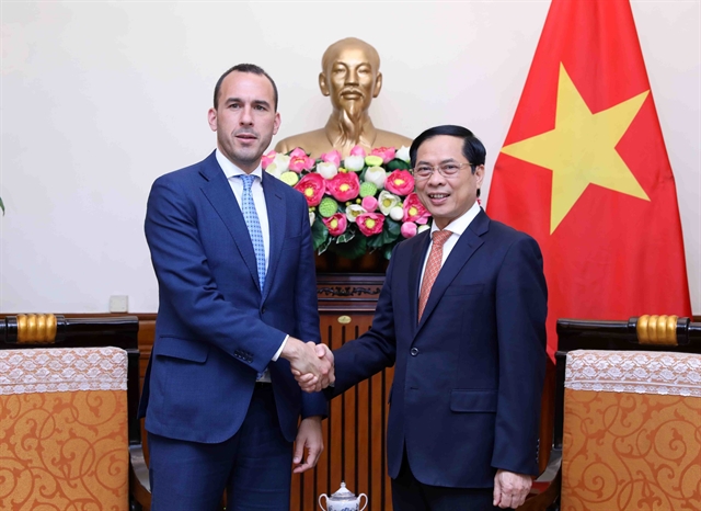 Minister of Foreign Affairs suggests Việt Nam Italy expand cooperation