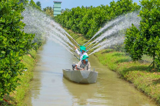 Cần Thơ aims to increase efficiency, incomes for farmers