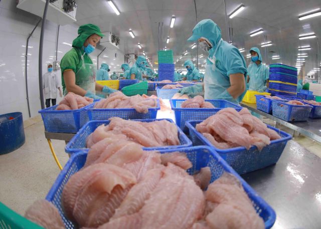 CPTPP holds potential for Việt Nam’s tra fish exports