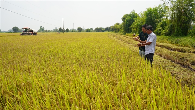 Tây Ninh fosters stakeholder linkages in agriculture