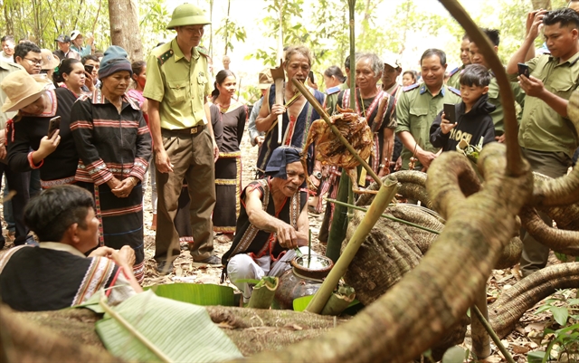 Traditional forest ritual protects Mother Nature - Vimarsana News