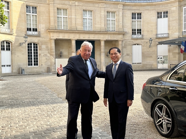 Le Việt Nam souligne l’importance d’une relation globale avec la France: FM