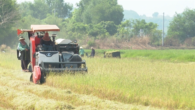 Le aziende italiane cercano partner per promuovere la partnership nella meccanizzazione agricola in Vietnam