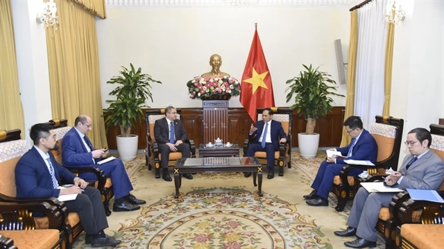 Deputy PM, FM Bùi Thanh Sơn receives Azerbaijani Ambassador