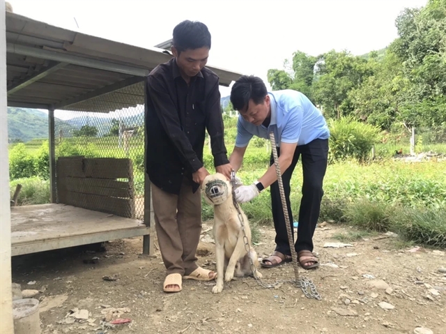Prime Minister emphasizes strict rabies prevention and control