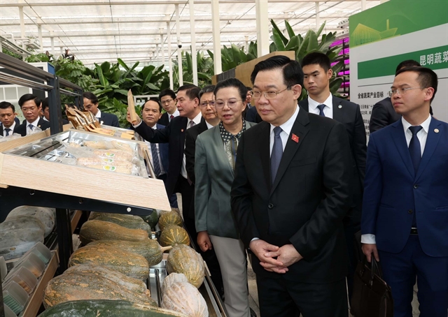 NA Chairman visits outstanding economic models in Yunnan
