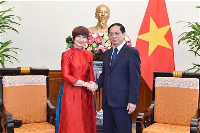 Việt Nam treasures role of UNESCO: Foreign Minister