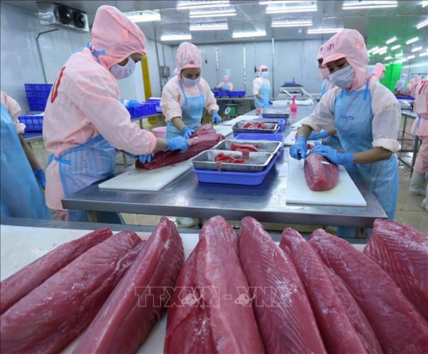 Sản phẩm cá ngừ của VN được xuất khẩu sang 80 thị trường trên thế giới