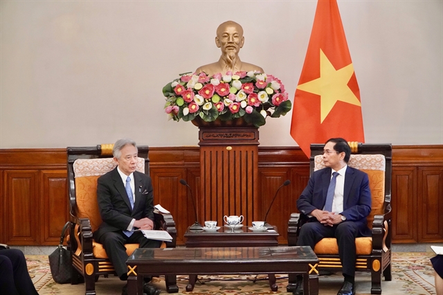 ベトナムと日本は文化、教育、科学技術協力の強化を期待しています