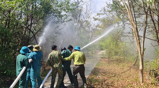Mekong Delta provinces brace for forest fire threats