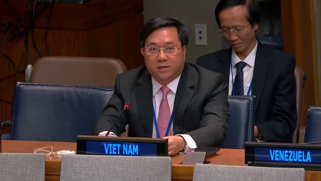 Việt Nam shares experience in economic development, population affairs to achieve SDGs