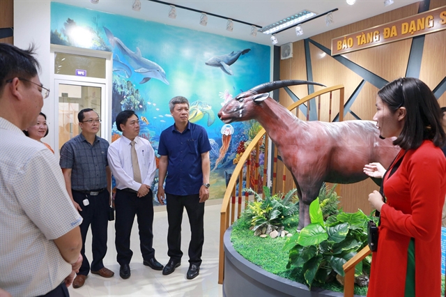 First provincial biodiversity museum launched in Quảng Nam