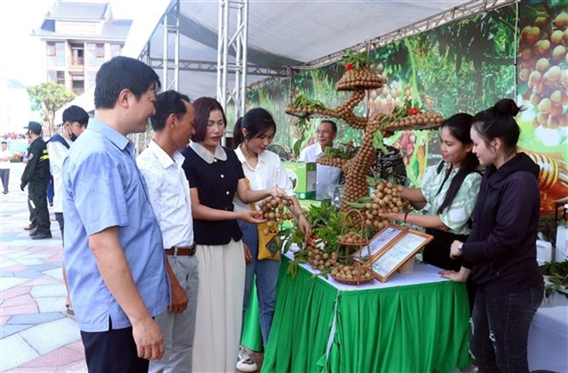 canadian tourism in vietnam