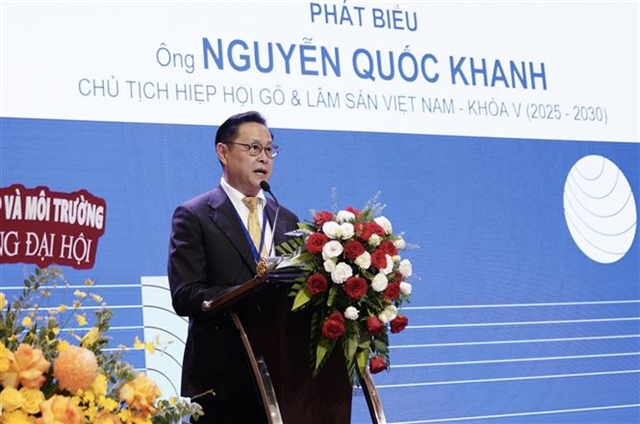 471056 5347194831810436 Khanh%20Vinforest