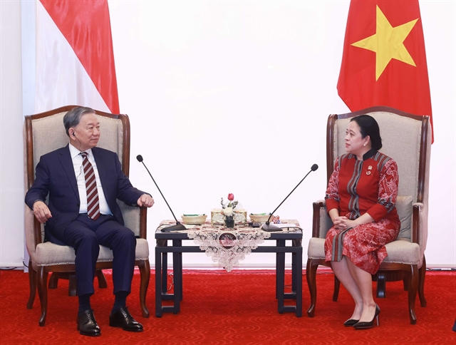 Việt Nam, Indonesia agreed to push bilateral trade to US$18 billion by 2028