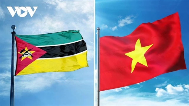 Việt Nam sees Mozambique priority partner in Africa: Ambassador