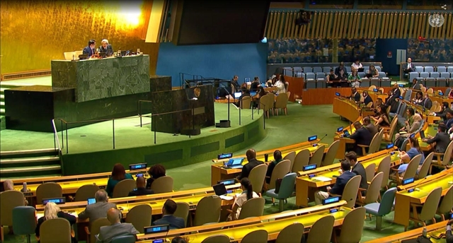 Việt Nam promotes consensus adoption of budget for UN peacekeeping mission in Abyei
