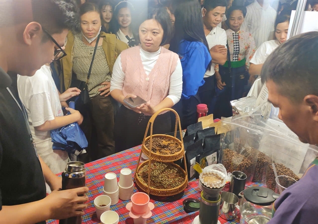 Coffee Process Image Regenerative farming offers path for Sơn La coffee
