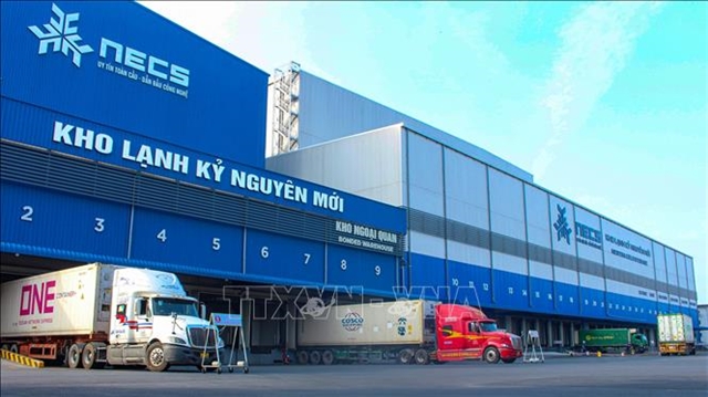 Uneven cold storage distribution creates challenges for Vietnamese ...