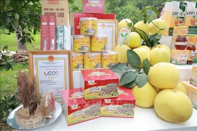Hà Tĩnh products reach wider markets through digital platforms