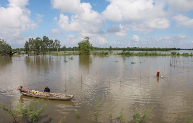 Late flooding season results in low sediment levels fewer aquatic food sources in rice fields in Mekong Delta