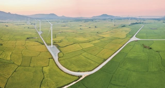 Việt Nam sees big opportunities in wind energy
