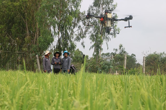 Đồng Tháp uses IT smart devices to restructure agricultural production