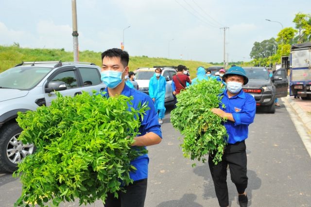 Hà Nội youth joins hands to fight pandemic