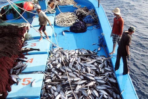 EC recognises Việt Nam's improvements in combating IUU fishing