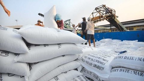 Improved rice quality helps export prices rise
