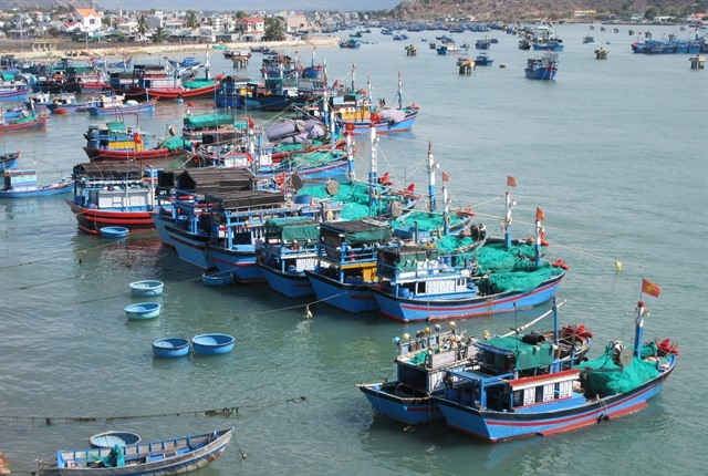 Marine plastic waste an urgent issue in coastal Việt Nam