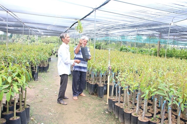 Bến Tre focuses on improving seedling production