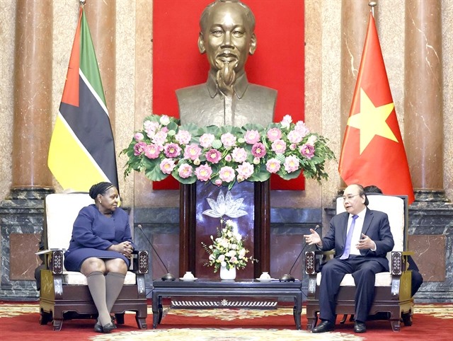 Việt Nam willing to help Mozambique ensure food security: President