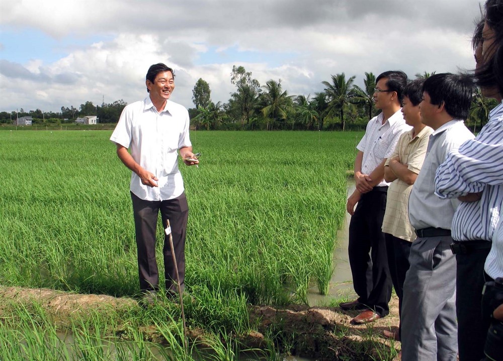 Việt Nam's rice crowned the best at 2019 World Rice Conference