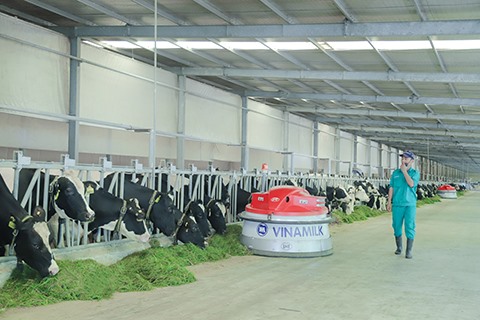 Vinamilk keeps leading in liquid milk segment