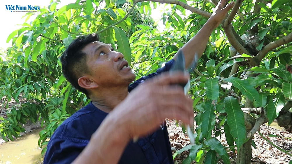 Northern provinces urged to bring pesticide use under control