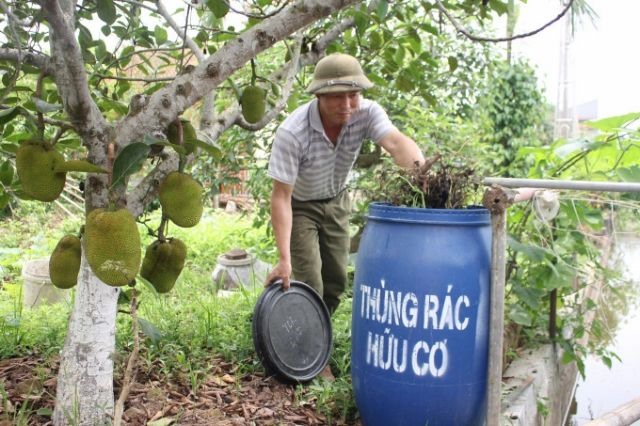 Organic waste fertiliser benefits in Nam Định
