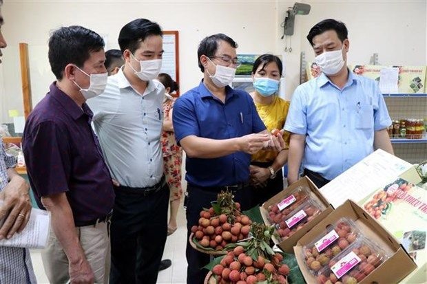 Hải Dương promotes sale of Thanh Ha lychee other typical products