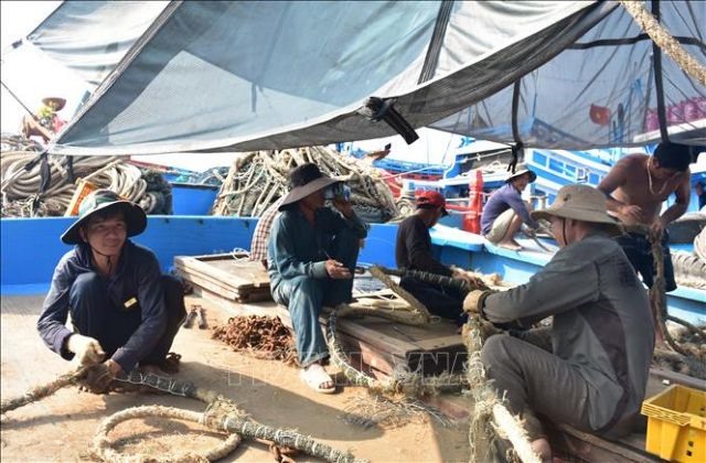 Labour shortage hinders development of offshore fishing in central region