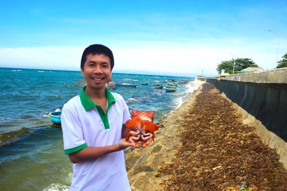 Island man saves his beloved crabs