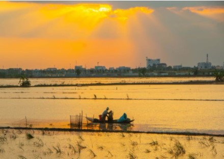 Mekong fishermen struggle to survive
