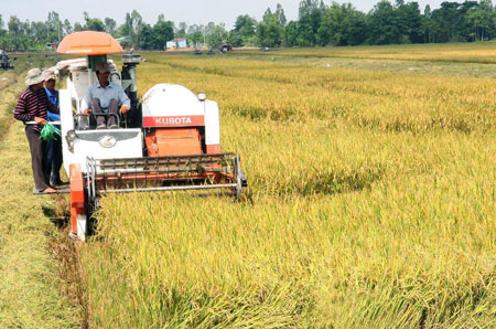 Farmers need help to get more mechanised - Society - Vietnam News ...