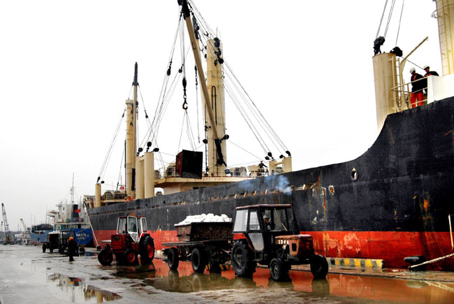 Tuan Loc to run Nghe Tinh Port - Economy - Vietnam News | Politics ...